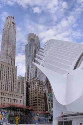 archi764.jpg