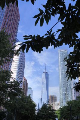 archi766.jpg
