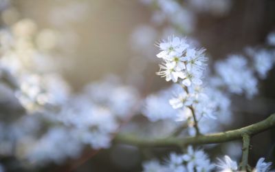 nature487.jpg