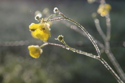 nature498.jpg