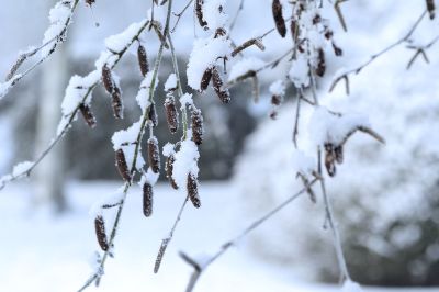 nature513.jpg