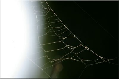 nature74.jpg
