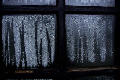 nature_morte106.jpg