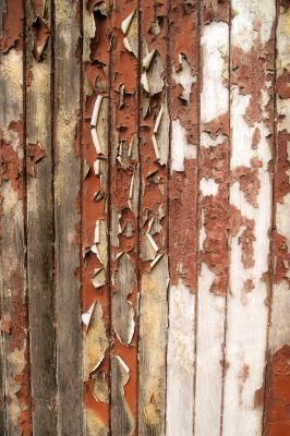 nature_morte112.jpg