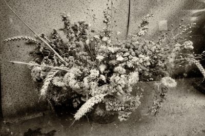 nature_morte113.jpg