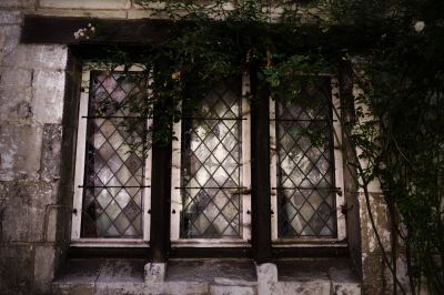 nature_morte115.jpg