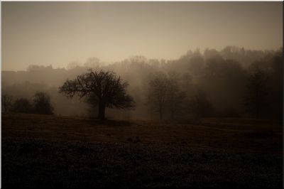 paysage183.jpg