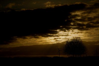 paysage241.jpg