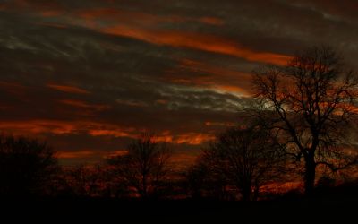 paysage406.jpg