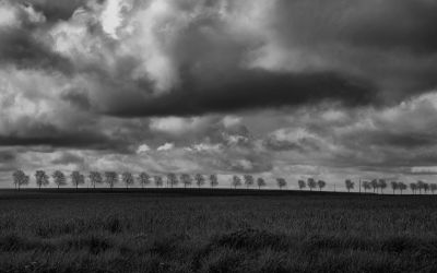 paysage439.jpg