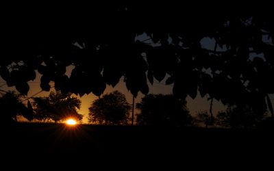 paysage446.jpg