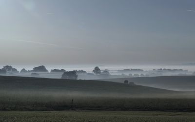 paysage450.jpg