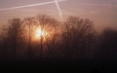 paysage462.jpg