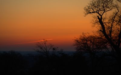 paysage470.jpg