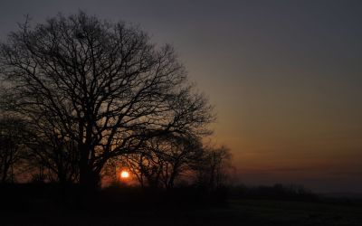 paysage471.jpg