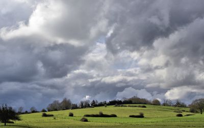 paysage472.jpg