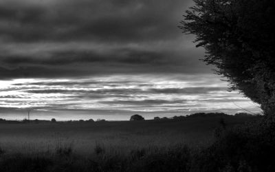 paysage474.jpg