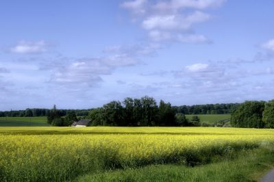 paysage476.jpg