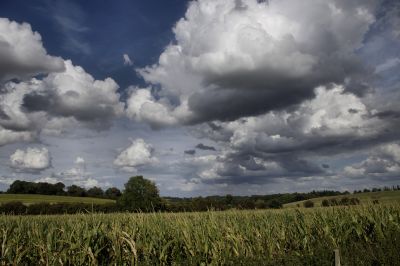 paysage480.jpg