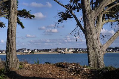 paysage484.jpg