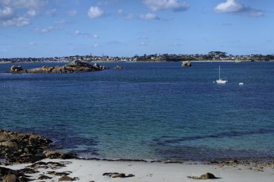 paysage485.jpg