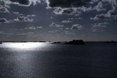 paysage486.jpg