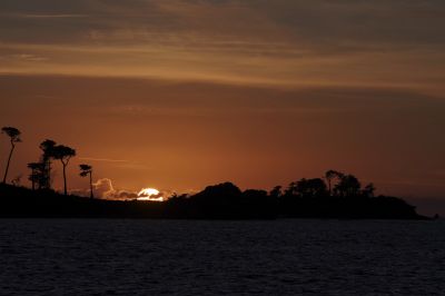 paysage487.JPG