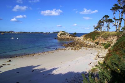paysage488.jpg