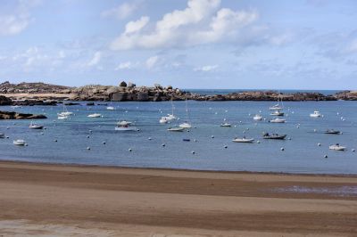 paysage490.jpg
