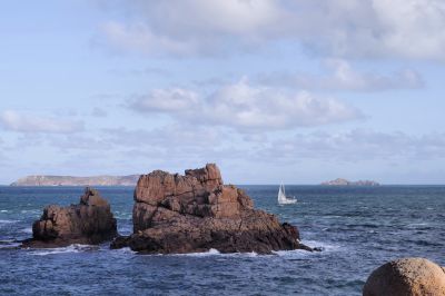paysage492.jpg