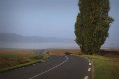 paysage493.jpg