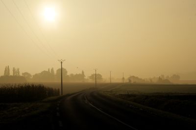 paysage494.jpg