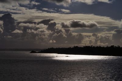 paysage495.jpg