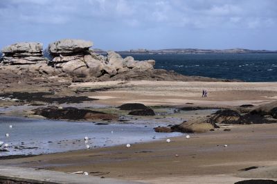 paysage498.jpg