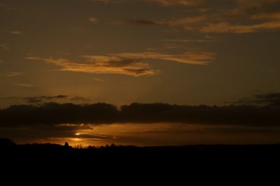 paysage499.jpg