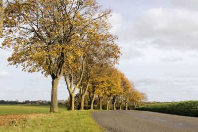 paysage500.jpg