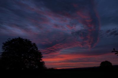 paysage501.jpg
