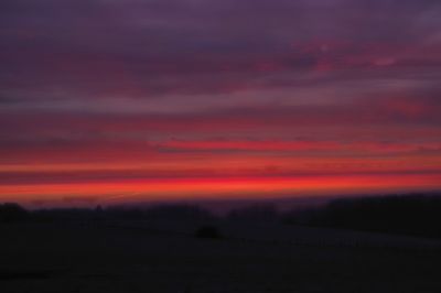 paysage516.jpg