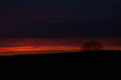 paysage517.jpg