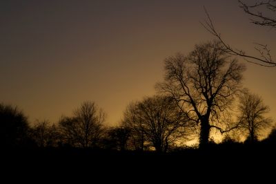 paysage518.jpg