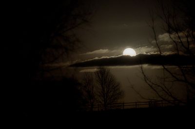 paysage521.jpg