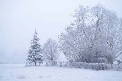 paysage525.jpg