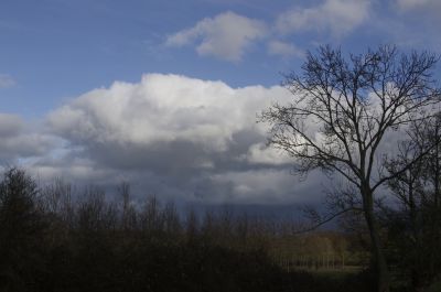 paysage526.jpg