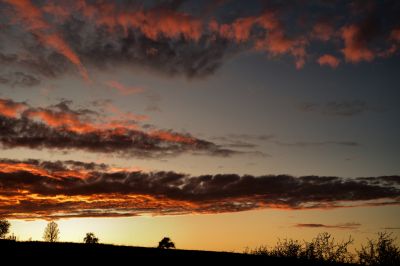 paysage528.jpg