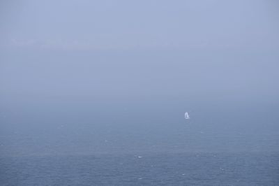 paysage529.jpg