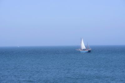 paysage530.jpg