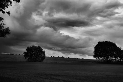 paysage532.jpg