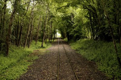 paysage533.jpg