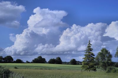 paysage534.jpg