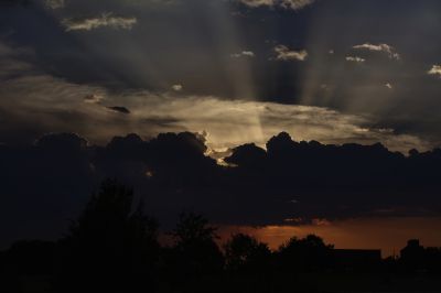 paysage536.jpg